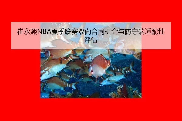崔永熙NBA夏季联赛双向合同机会与防守端适配性评估