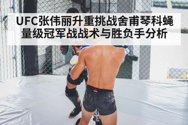 UFC张伟丽升重挑战舍甫琴科蝇量级冠军战战术与胜负手分析